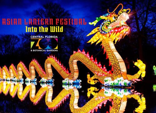 Asian Lantern Festival Into The Wild at Central Florida Zoo & Botanical Garden