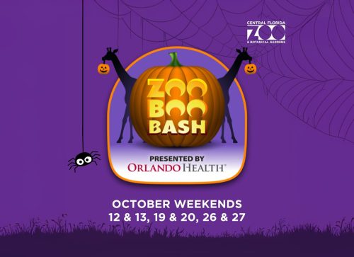 Zoo Boo Bash at Central Florida Zoo in Sanford Florida